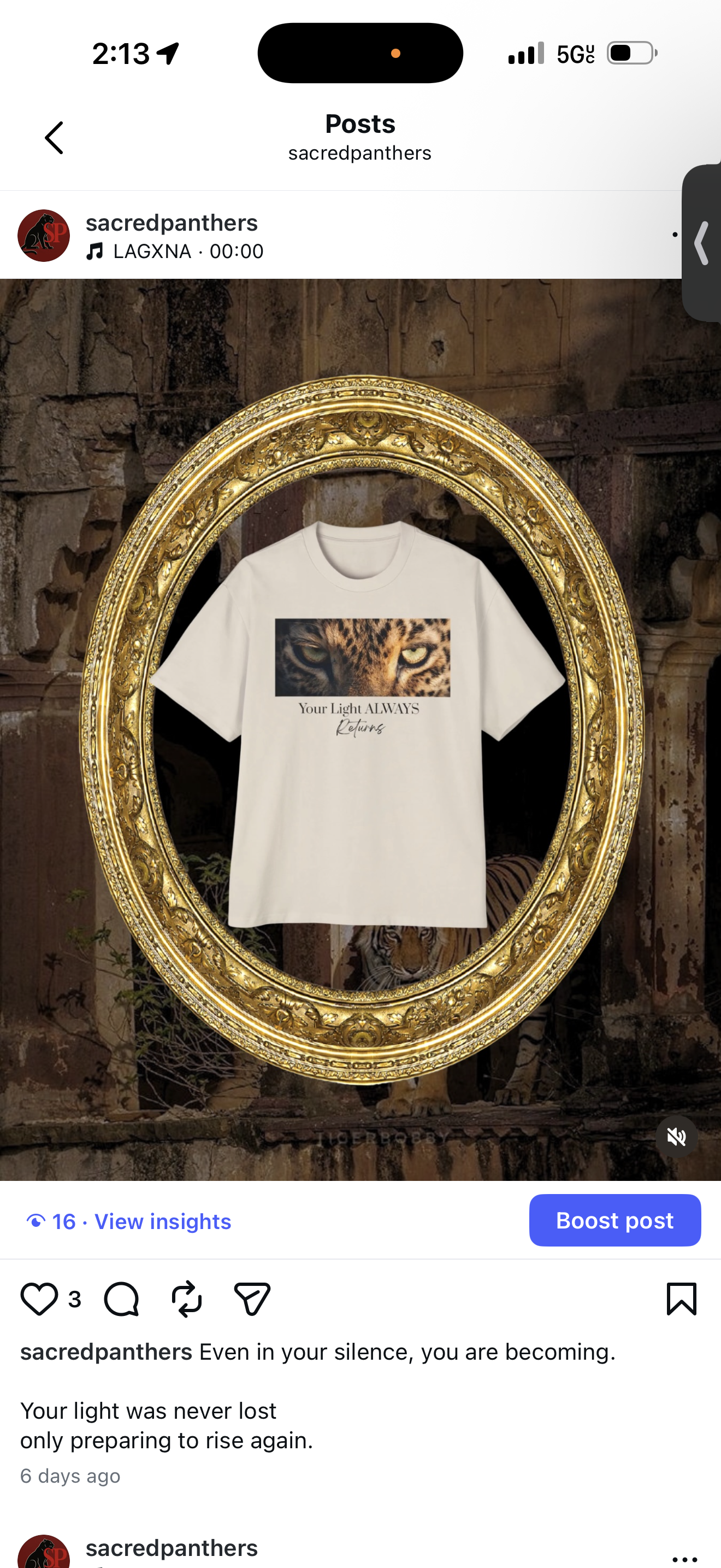 T-Shirts