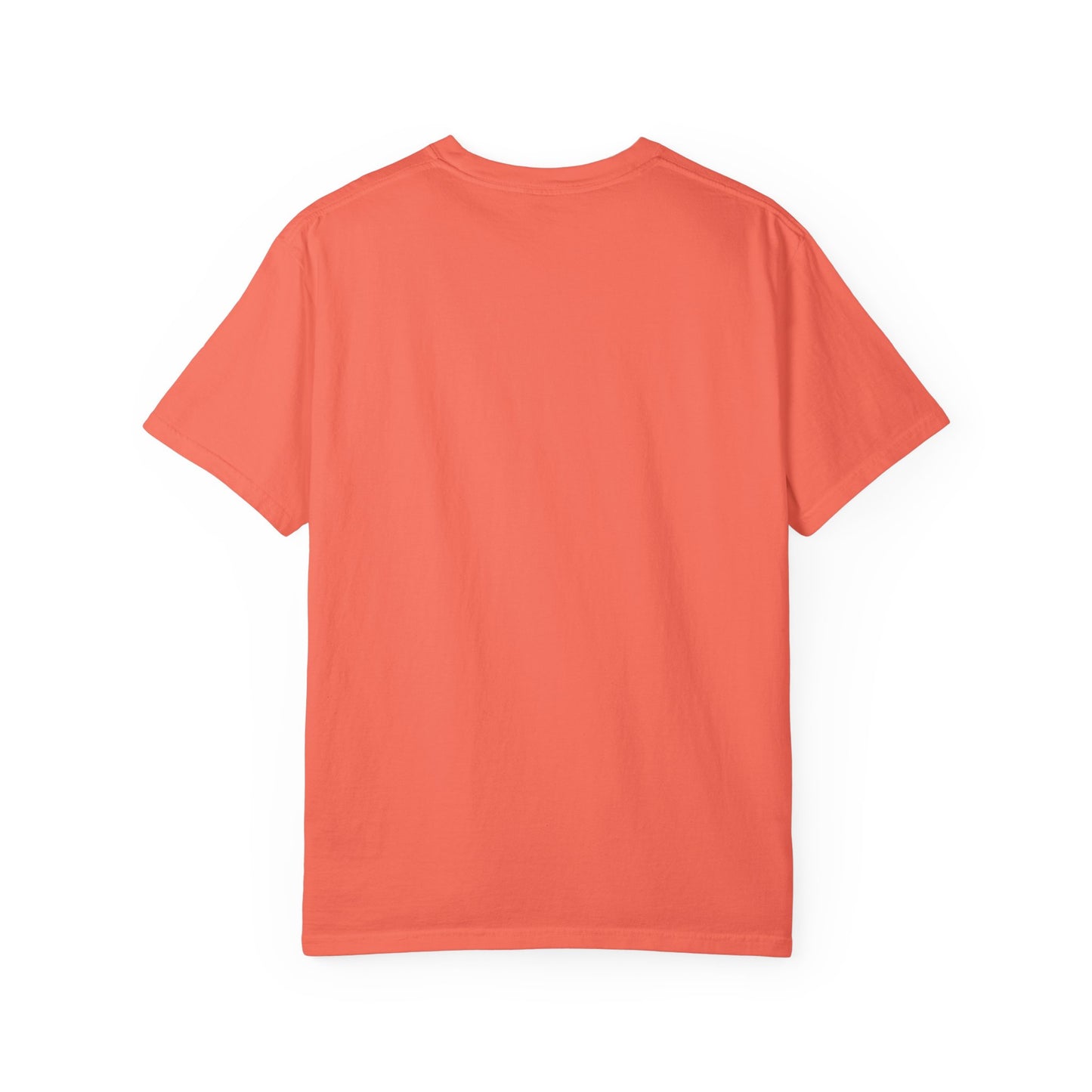 Horse Graphic T-Shirt — Minimalist Geometric Stallion Print